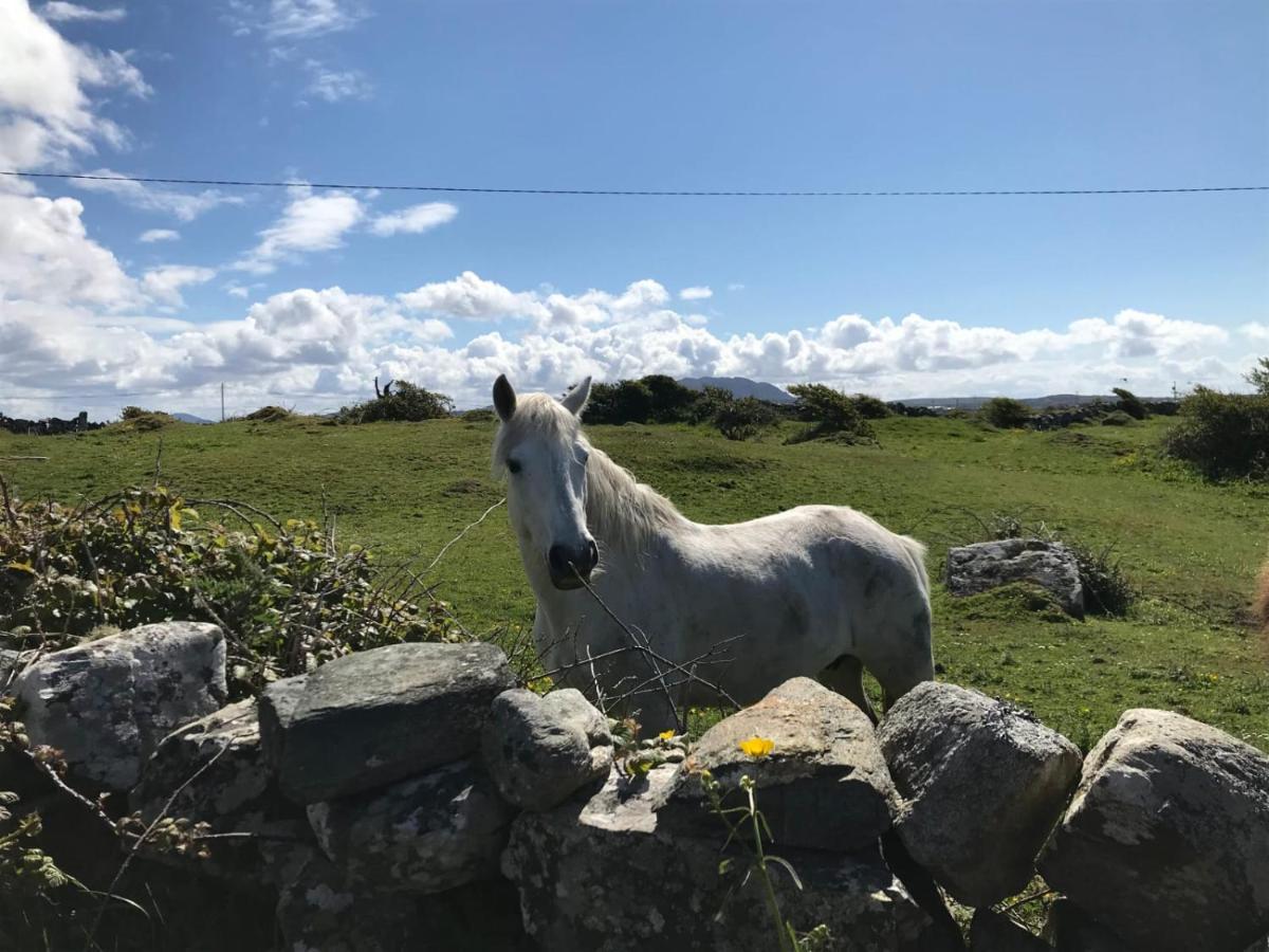 Kilronan Cottage Ballyconneely Kültér fotó